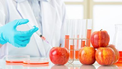 هر آنچه باید در مورد محصولات ترا ریخته و غیر ترا ریخته بدانید!