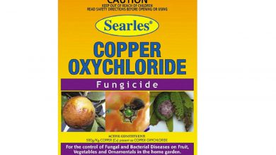 سم قارچ کش اکسی کلرور مس چیست و چه کاربردی دارد؟