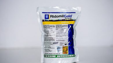 سم قارچ کش ريدوميل (متالاكسيل) چیست و چه کاربردی دارد؟