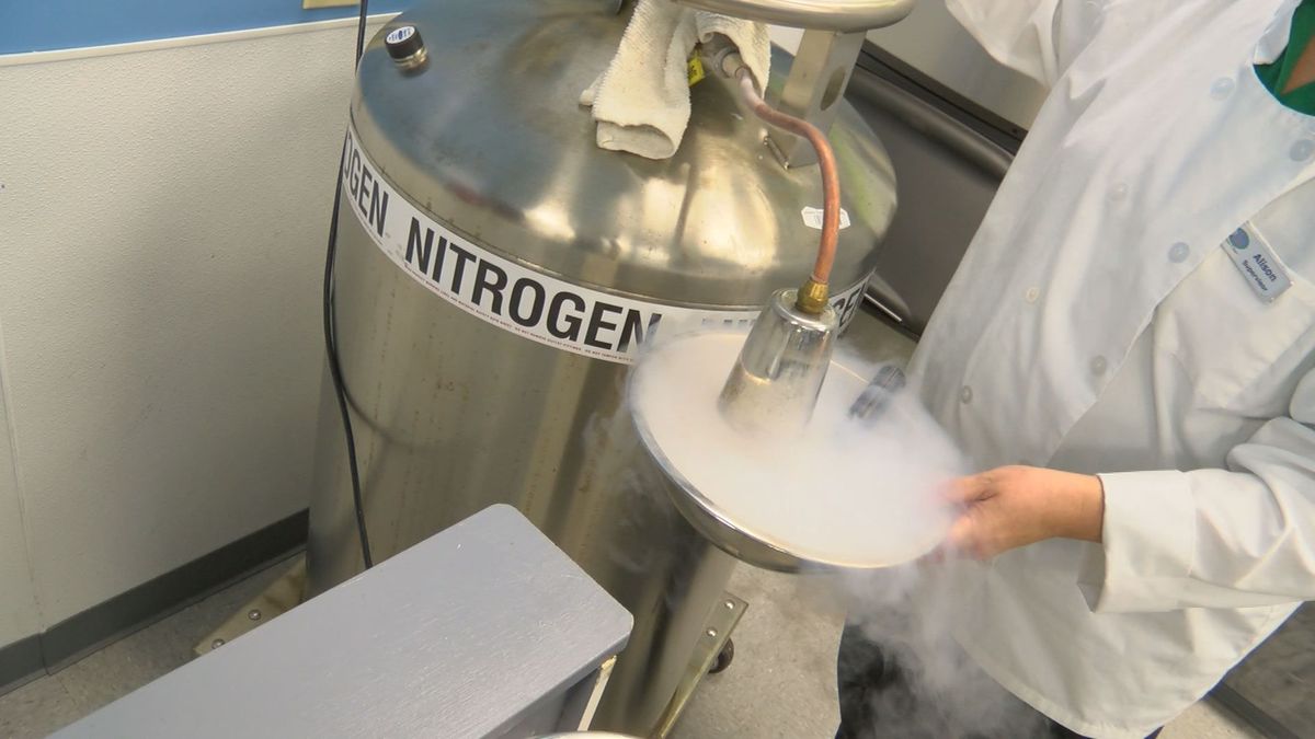 نیتروژن چیست و از کاربردها و اهمیت آن چه می دانید؟