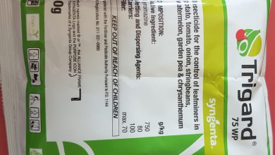 ویژگی و کاربرد سم حشره کش سیرومازین (تریگارد)