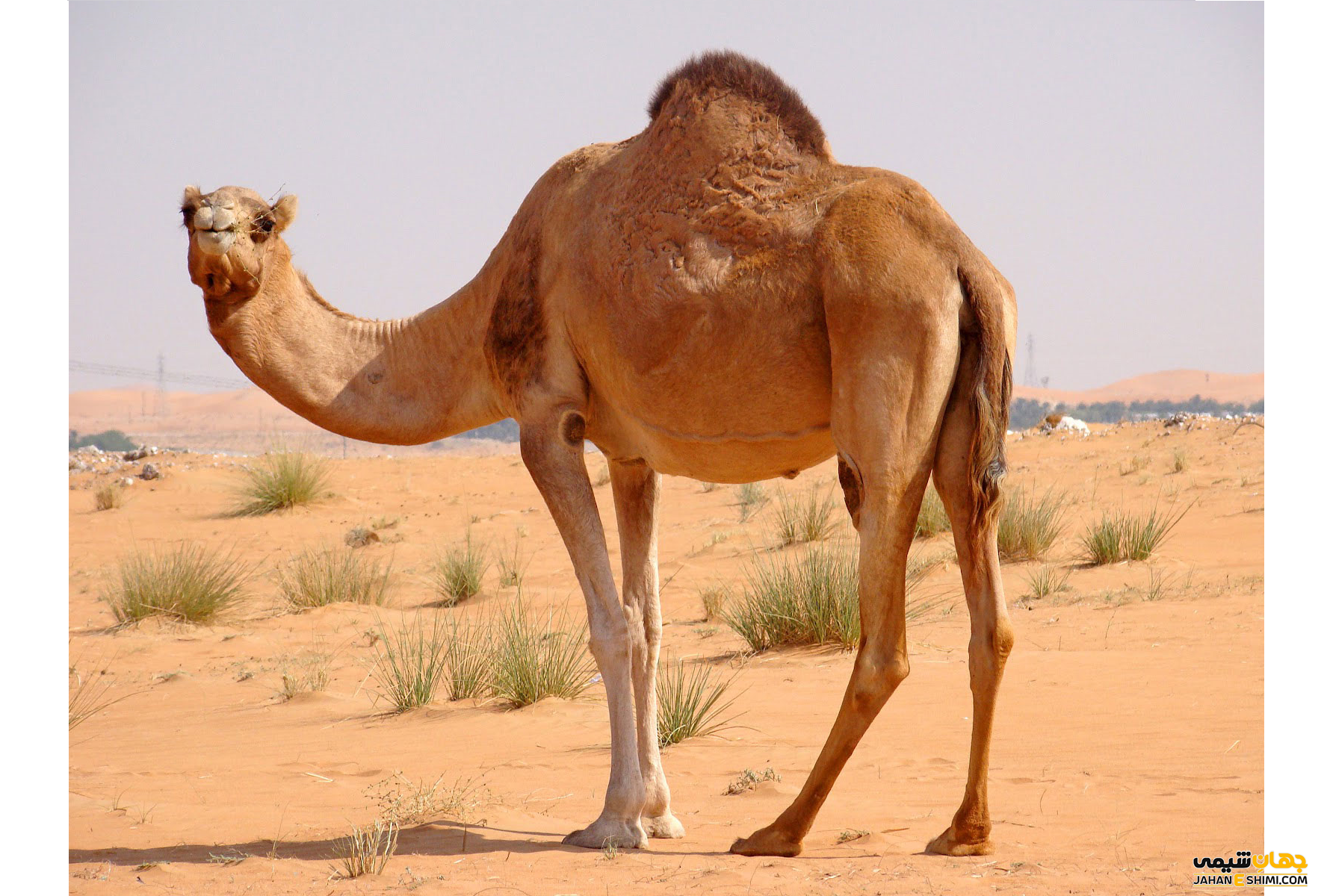 بهتر است بدانیم که