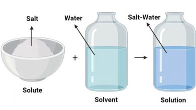 محلول چیست؟ - اجزا و انواع محلول ها کدامند؟