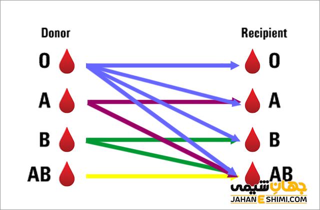گروه خونی چیست؟ انواع و تعیین گروه های خونی چگونه است؟ جهان شیمی فیزیک