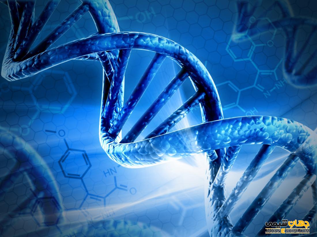 DNA چیست؟ ساختار و عملکرد آن درسلول ها