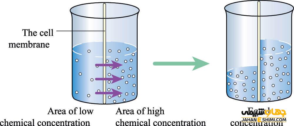 Low Concentration Meaning In Biology