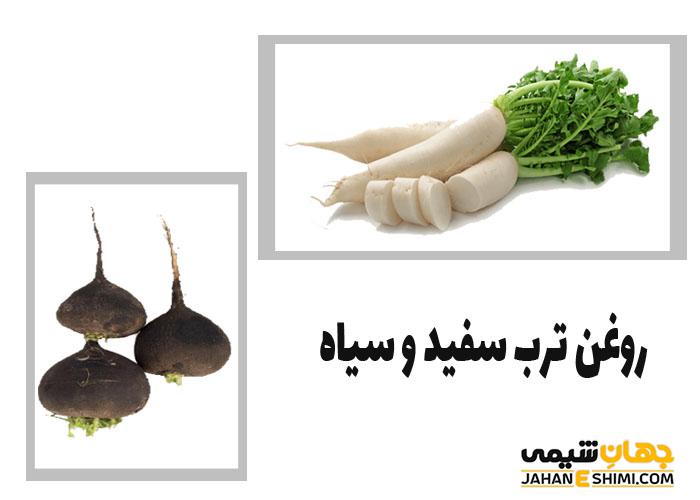 روغن ترب سفید و سیاه چیست ؟ خواص و کاربرد و قیمت آن