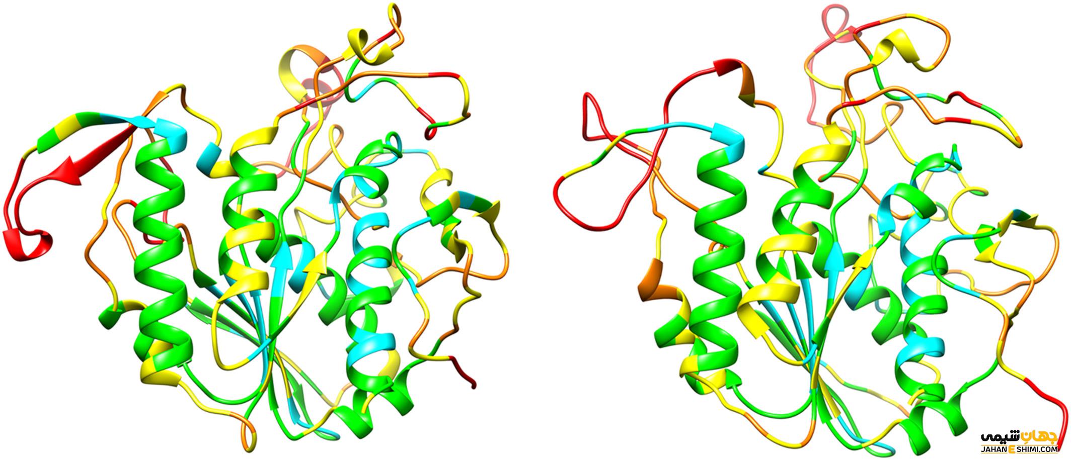 مهندسی پروتئین چیست؟ کاربردهای مهندسی پروتئین