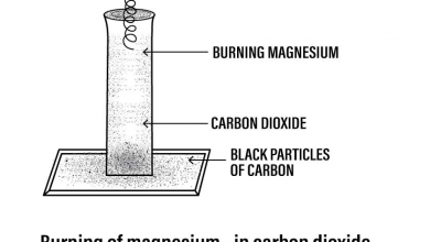 آزمایش سوختن منیزیم در یخ خشک
