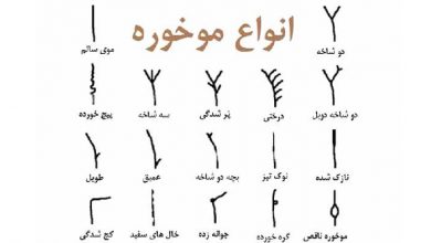 موخوره چیست و چگونه می توان با آن مقابله کرد؟