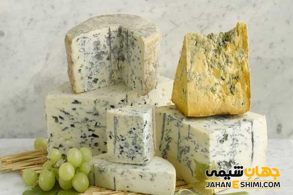 خواص پنیر بلوچیز چیست؟ طرز تهیه، کاربرد، میزان کالری و انواع آن