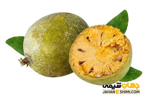 آشنایی با طبع و خواص میوه بکرایی یا بکرین