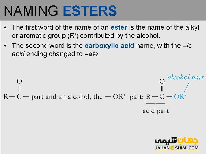 نام گذاری استرها