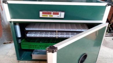 آشنایی با انواع انکوباتور و کاربرد های آن ها